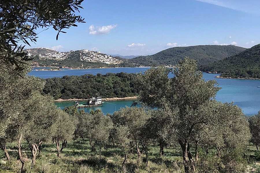 Salih Adası