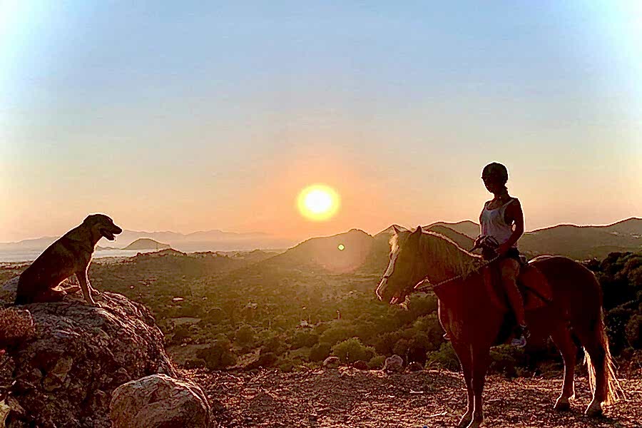 Bodrum’un doğasını at sırtında keşfedin