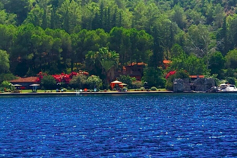Domuz Adası